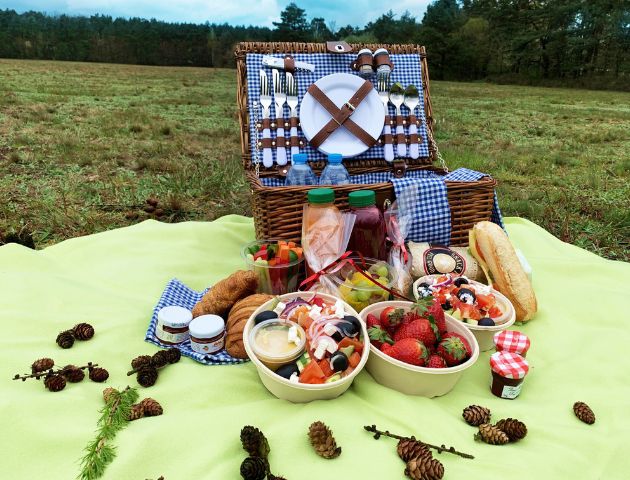 Piknik w Puszczy